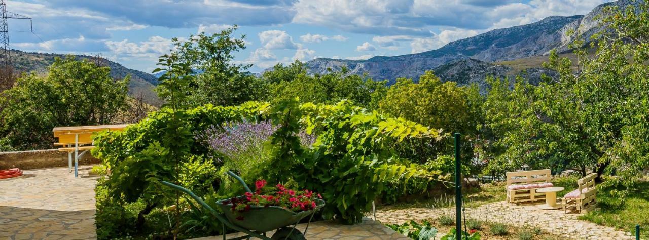 Holiday Home Cherry Tree Žrnovnica Extérieur photo